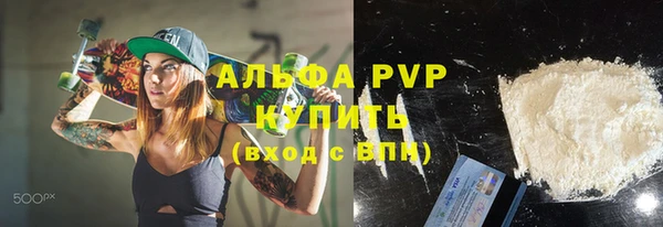 гашик Арсеньев