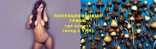 гашик Арсеньев