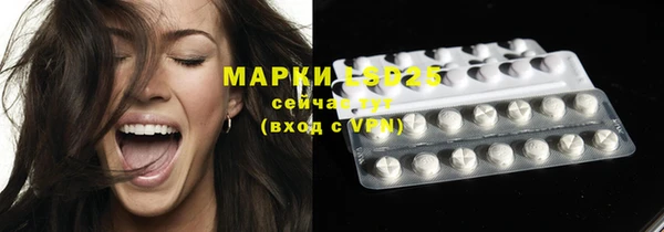гашик Арсеньев