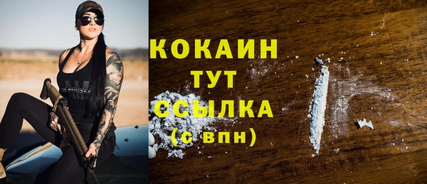 гашик Арсеньев