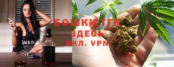 гашик Арсеньев